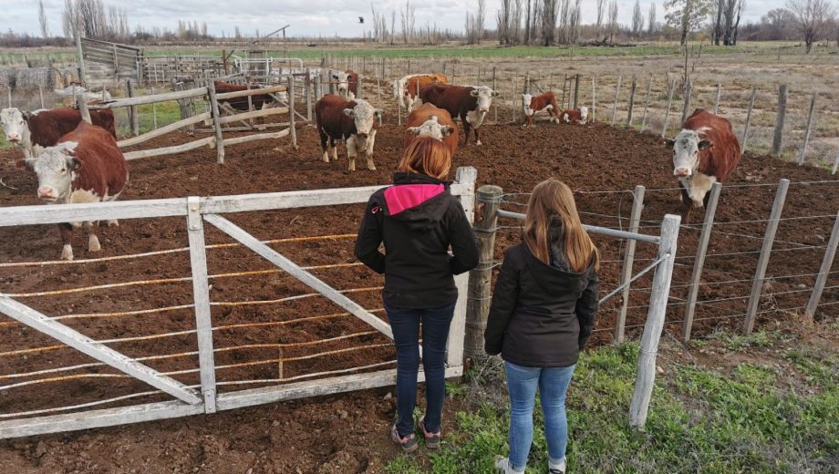 Dos estudiantes francesas participan de un intercambio educativo en escuelas agrotécnicas de Río Negro