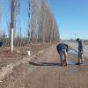 Imagen de Cipolletti comenzó con el alumbrado en Ruta Provincial N° 65