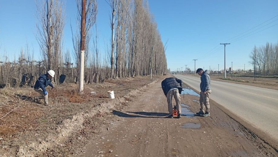 La obra busca mejorar la seguridad vial y reducir los costos de consumo eléctrico. Foto: Municipalidad de Cipolletti. 