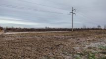 Imagen de Buteler confirmó el comienzo de la obra de un supermercado en el Distrito Vecinal Noreste de Cipolletti