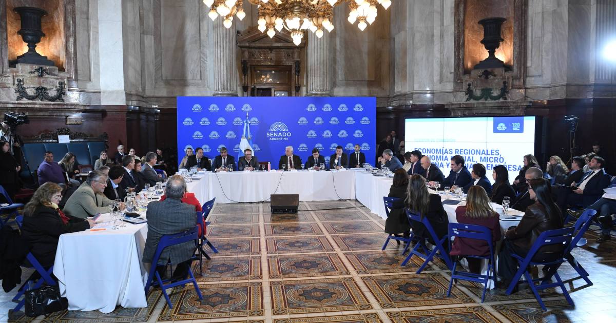 Debate en el Senado sobre el nuevo régimen de incentivos para minería y energía