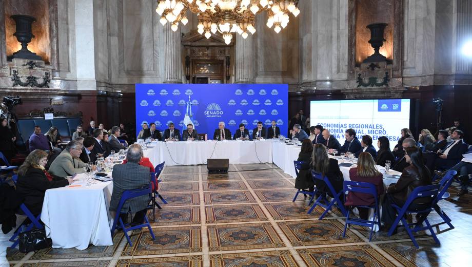 Super RIGI: referentes de la energía y minería expusieron sus propuestas ante el Senado