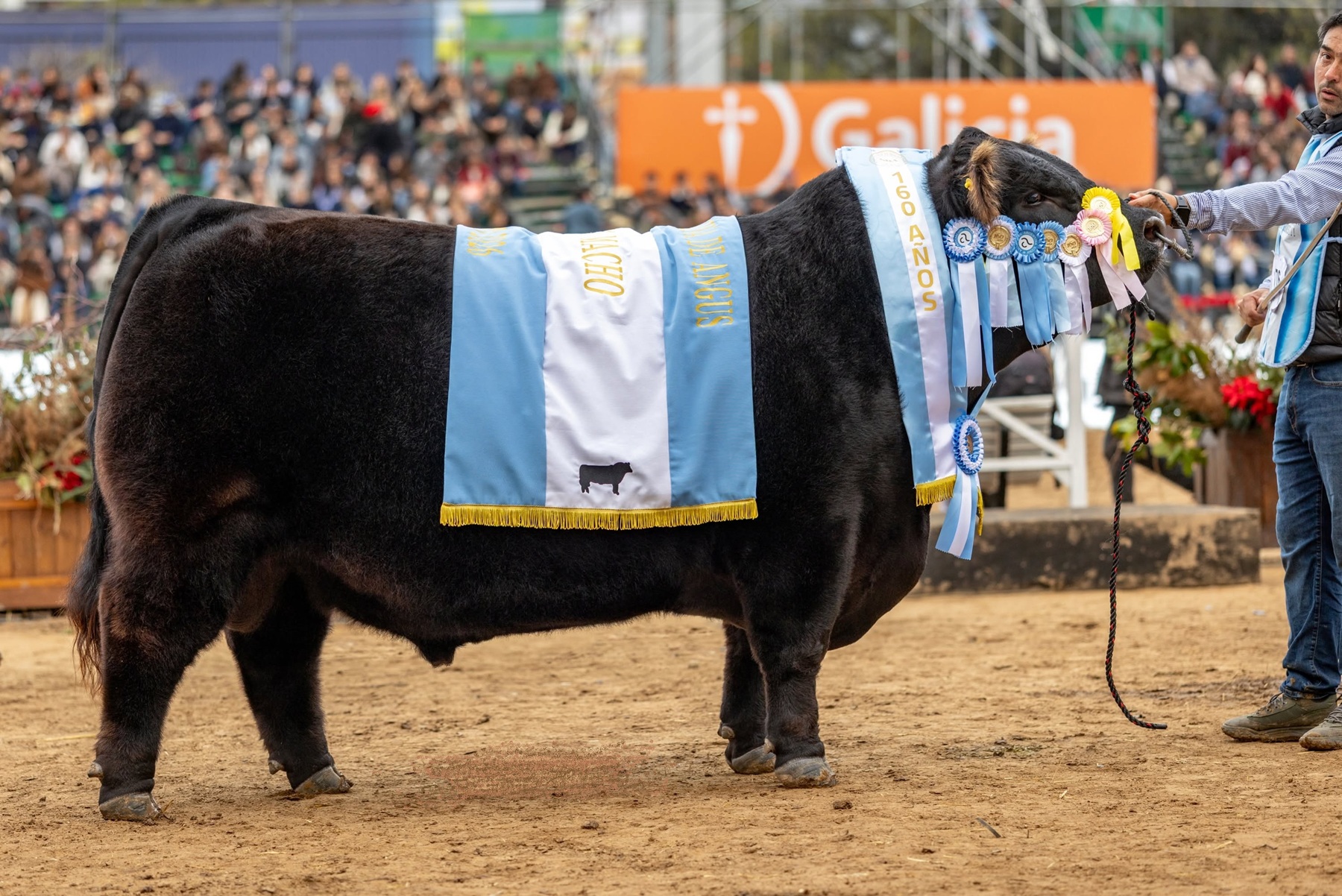 Cabaña Don José de La Dulce se consagra como Gran Campeón Angus en Palermo 2026