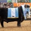 Imagen de La cabaña de La Dulce, en Necochea, que conquistó con el toro RIP el Gran Campeón Angus de Palermo 2026