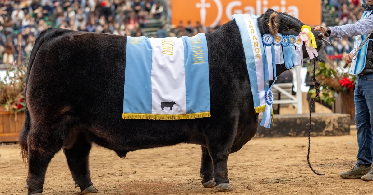 Cabaña Don José de La Dulce se consagra como Gran Campeón Angus en Palermo 2026