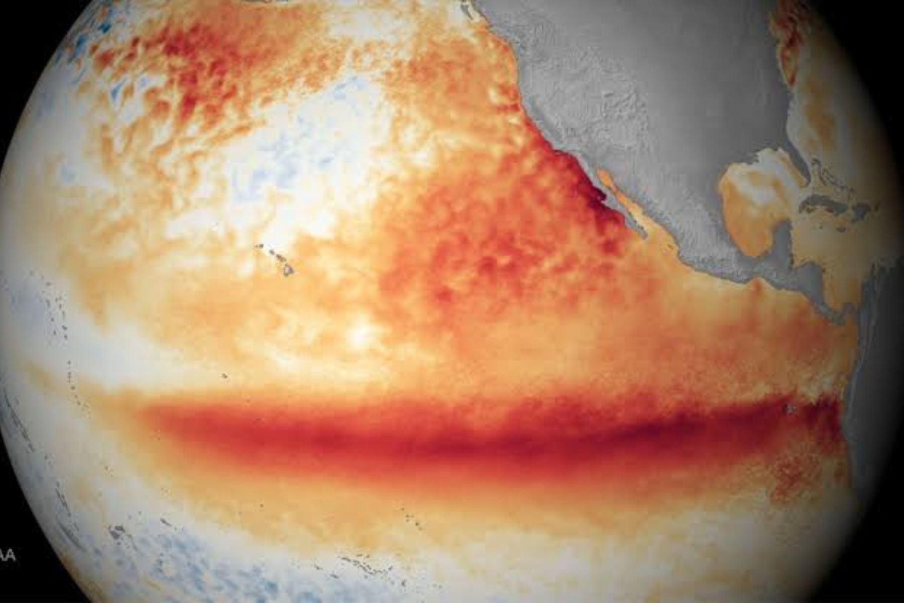 Impacto del cambio climático y El Niño en la transmisión del hantavirus en Patagonia