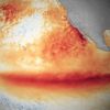 Imagen de ¿El cambio climático y el fenómeno de El Niño expanden la transmisión del hantavirus?