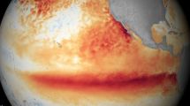 Imagen de ¿El cambio climático y el fenómeno de El Niño expanden la transmisión del hantavirus?