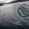 Imagen de Misterio en Chubut: hallan una camioneta hundida en un lago e investigan qué pasó con sus ocupantes
