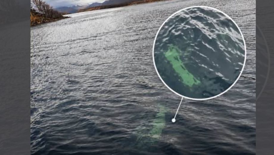 El vehículo permanece hundido en el lago, sin rastros de los ocupantes (Foto: el observador del sur)