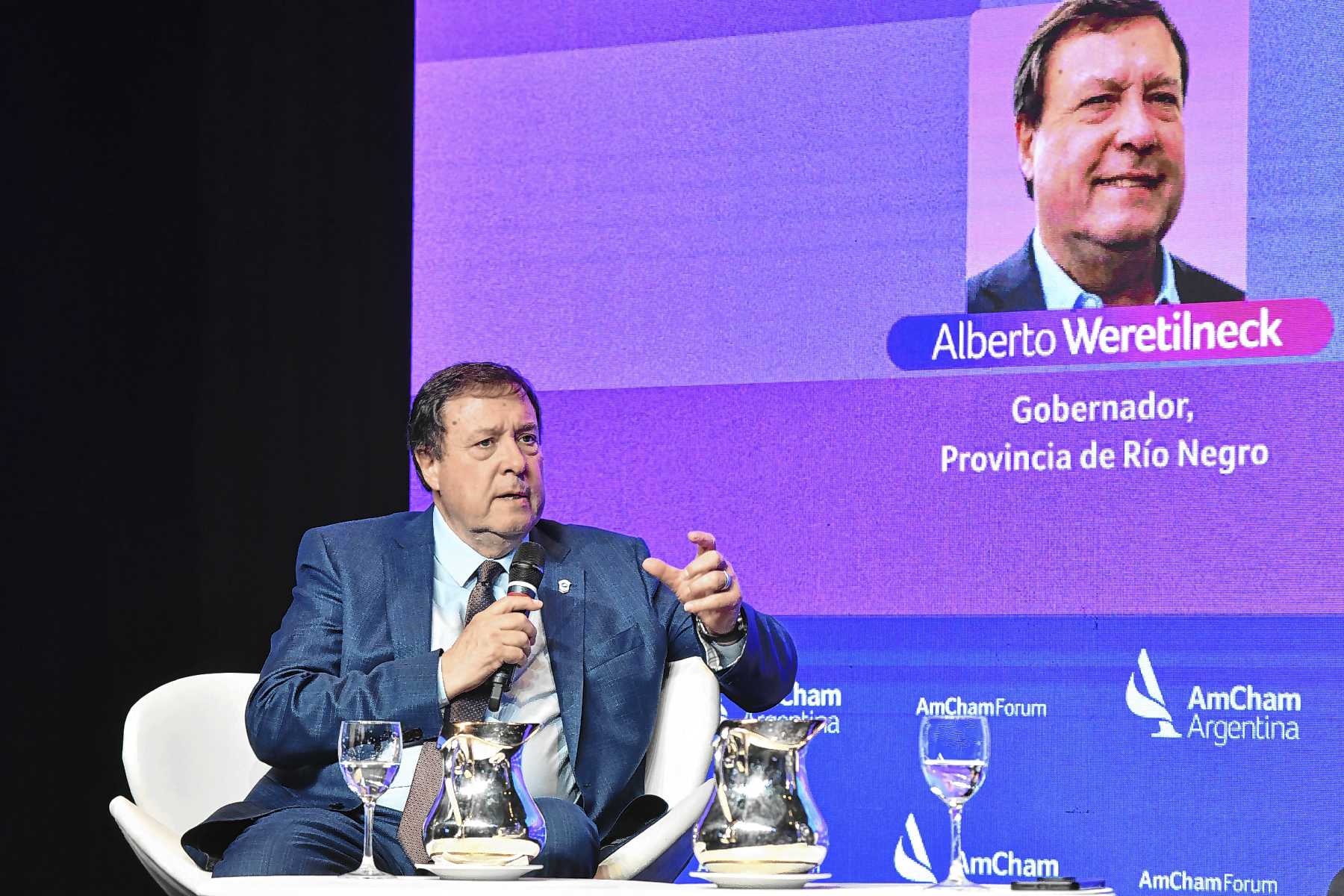 Río Negro se destacó en el foro sobre energía organizado por AmCham