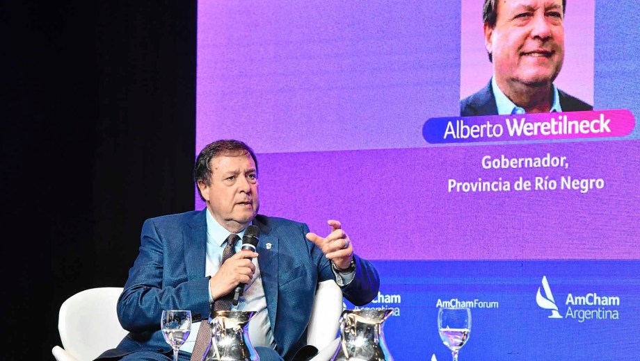 AMCHAM Energy Forum 2026. Gobernador de Rio Negro, Alberto Weretilneck.
Foto: Enrique Garcia Medina