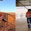 Imagen de Ale Zeballos, argentina trabajando en Australia: ahorró 20.000 dólares australianos en dos meses