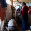 Imagen de Cuatro horas para cambiar un invierno: una red de mujeres construye estufas en hogares vulnerables de Bariloche