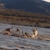 Imagen de La histórica Balsa Huitrín será recuperada tras ser arrastrada por una crecida del río Neuquén