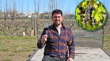 Imagen de Compraron una chacra en la Patagonia donde se cultivaba lúpulo, plantaron 8 hectáreas de viñedos y hoy elaboran 40.000 litros de vino
