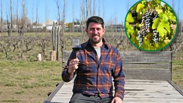 Compraron una chacra en la Patagonia donde se cultivaba lúpulo, plantaron 8 hectáreas de viñedos y hoy elaboran 40.000 litros de vino