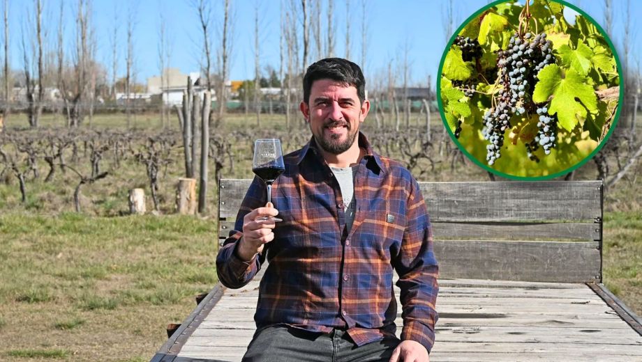 Los vinos de la bodega ya cruzaron fronteras y llegaron a Brasil, además de distintos puntos del país. Foto: Flor Salto. 