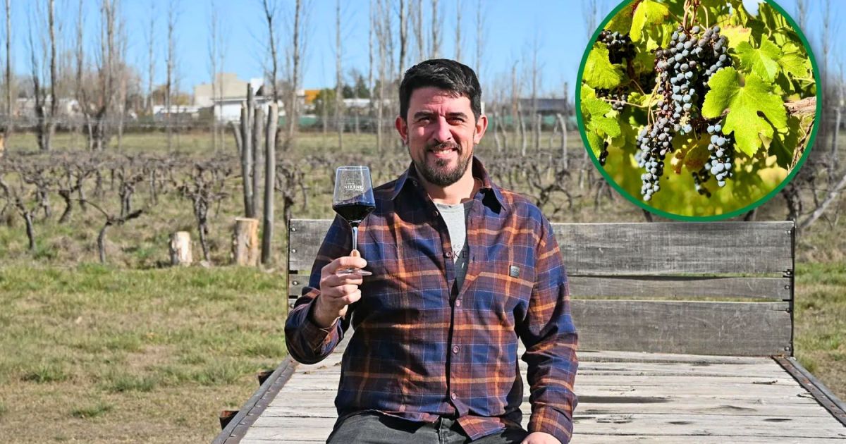 Transformación de una chacra en bodega vitivinícola en Patagonia