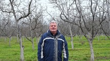 Imagen de Cambió el petróleo por la fruticultura en la Patagonia: hoy produce más de 100.000 kilos de un emblema de la alimentación saludable