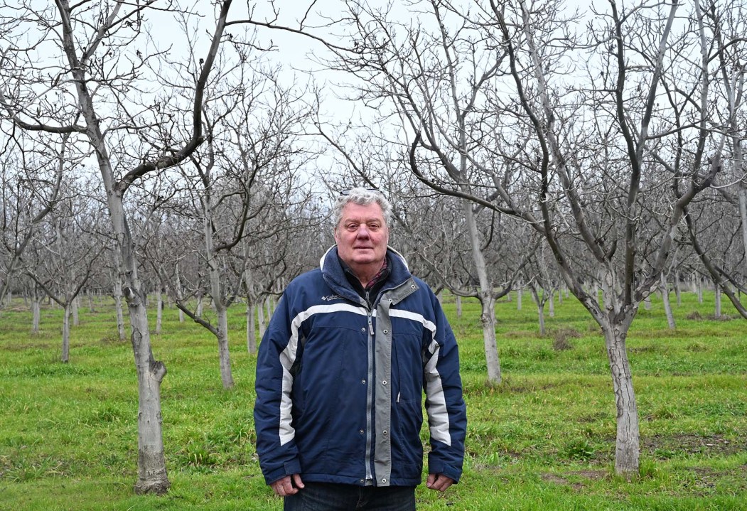 Carlos Faltum, el geólogo que cambió el petróleo por los frutos secos, junto a una plantación de nogales en Río Negro.