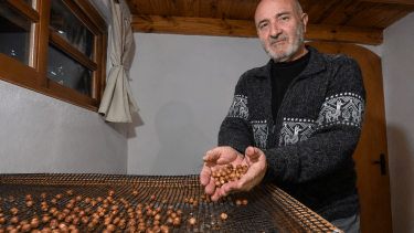 Llegó a la Patagonia atraído por un proyecto y terminó construyendo una vida entre avellanas y ganadería