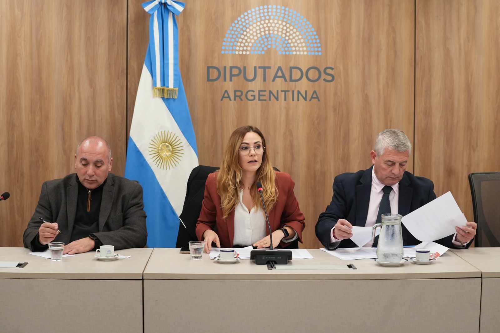 El Congreso evalúa reformar el Código de Minería para incluir tierras raras