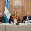 Imagen de El potencial de las tierras raras argentinas llegó al Congreso: analizan una reforma del Código de Minería