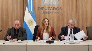 El potencial de las tierras raras argentinas llegó al Congreso: analizan una reforma del Código de Minería