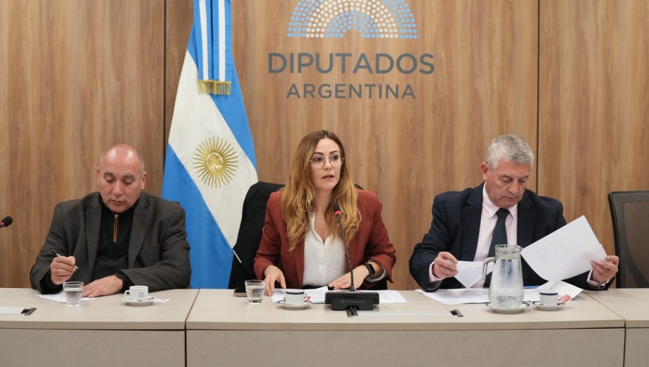 Se debatió sobre las iniciativas de los diputados Silvana Giudici (LLA), Carlos Snopek (UP) y Jorge Rizzotti (Provincias Unidas). Foto: Diputados.