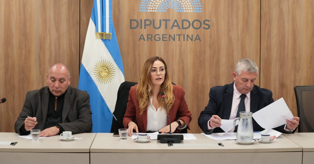 El Congreso evalúa reformar el Código de Minería para incluir tierras raras