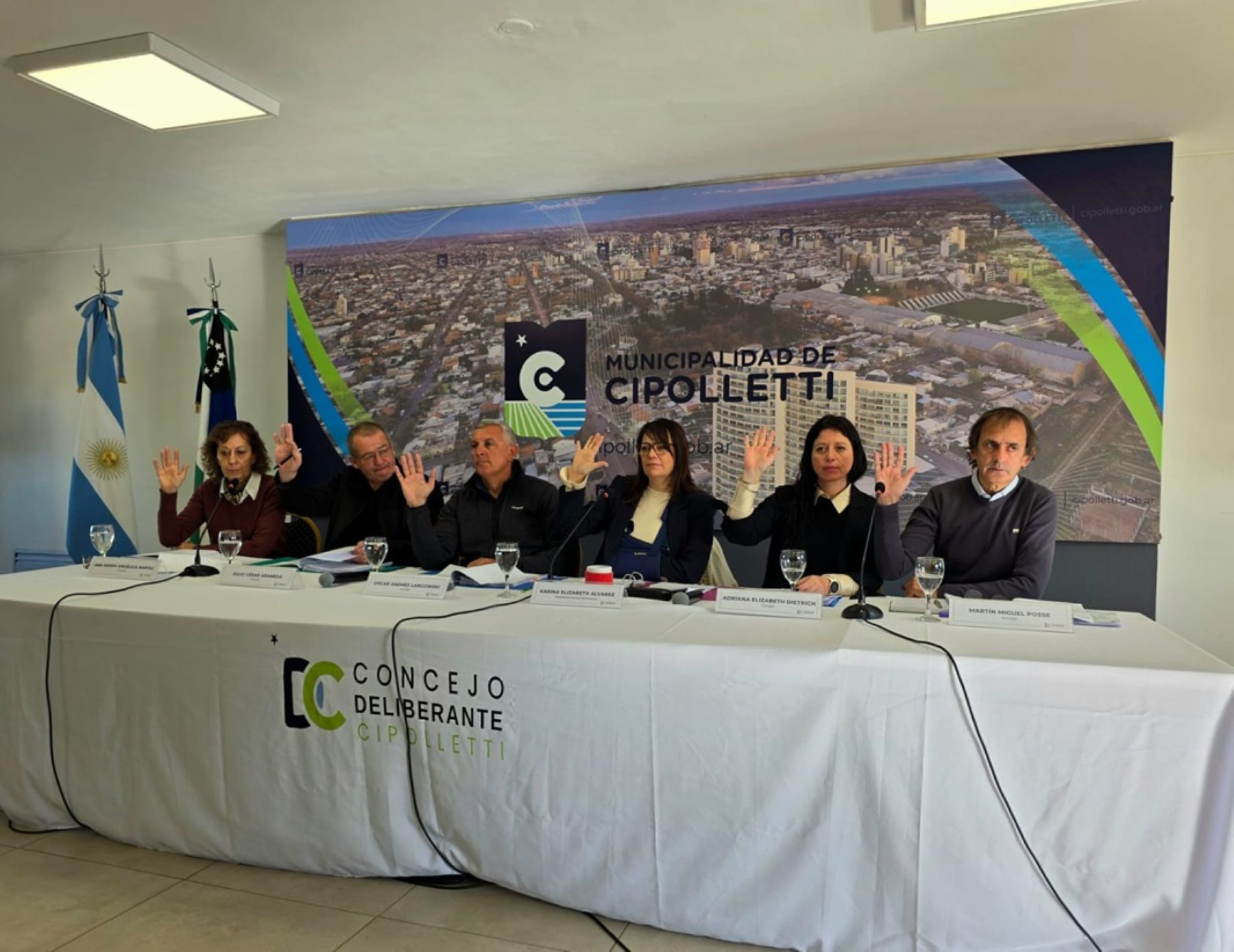 Cipolletti: el Concejo analiza ampliar el presupuesto y regular el cableado aéreo