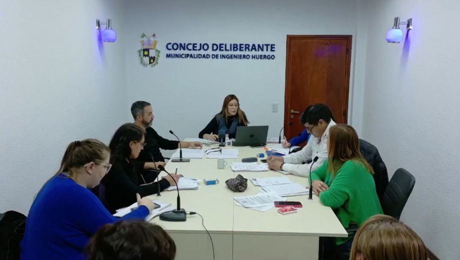 El proyecto de ordenanza fue aprobado ayer por unanimidad. Foto: captura vídeo. 