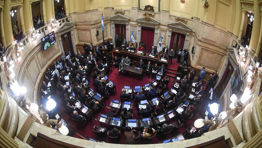 El oficialismo busca retomar la agenda legislativa esta semana. (Foto: gentileza Prensa Senado)
