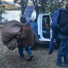 Imagen de Operativo en la Ruta 40: desalojaron a una comunidad mapuche en Villa La Angostura
