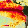 Imagen de Súper El Niño: crece la temperatura del Pacífico y advierten por eventos climáticos extremos