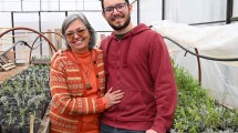Imagen de Empezaron con un cultivo inusual en la Patagonia hace 20 años y hoy venden más de 80 hierbas desde Salta a Ushuaia