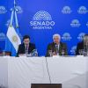 Imagen de Súper RIGI: el Senado abre el debate para atraer grandes inversiones en tecnología, minería y nuevas industrias