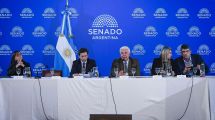 Imagen de Súper RIGI: el Senado abre el debate para atraer grandes inversiones en tecnología, minería y nuevas industrias
