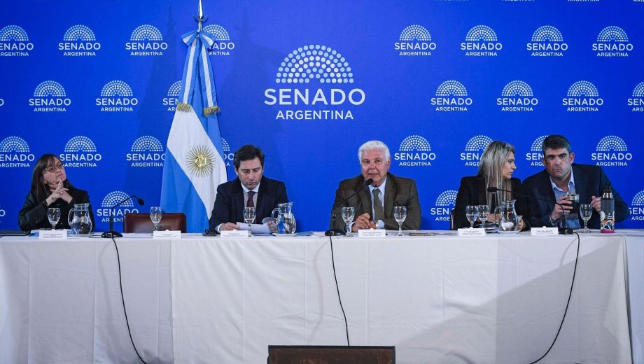El Senado abre el debate para atraer grandes inversiones en tecnología, minería y nuevas industrias