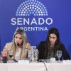 Imagen de El Senado continúa el debate en comisiones por Sociedades y Súper RIGI, pero no hay acuerdo para dictaminar