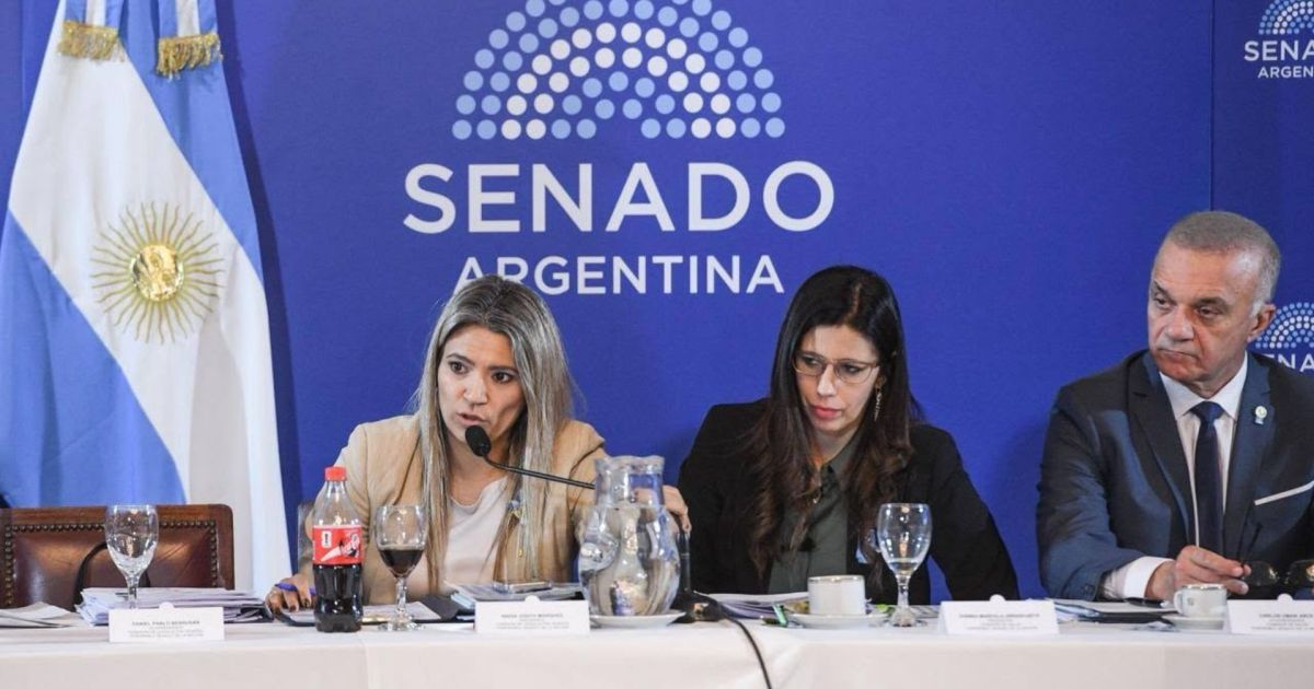 El Senado continúa el debate en comisiones por Sociedades y Súper RIGI, pero no hay acuerdo para dictaminar