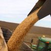 Imagen de Economía argentina | ¿Señal positiva o negativa? El dato clave que espera el Gobierno y qué dicen los analistas