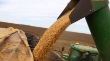 Imagen de Economía argentina | ¿Señal positiva o negativa? El dato clave que espera el Gobierno y qué dicen los analistas