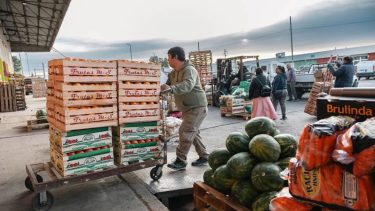 Mercado Concentrador de Neuquén: cambian los horarios y suman días de apertura, ¿cuándo se podrá ir a comprar?