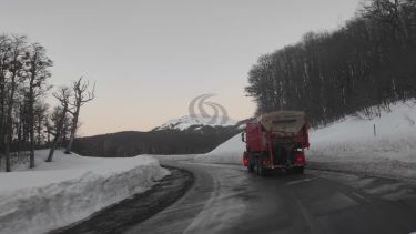 Cierre total de Pino Hachado por nieve: así están las rutas de la cordillera de Neuquén, Río Negro y los pasos a chile