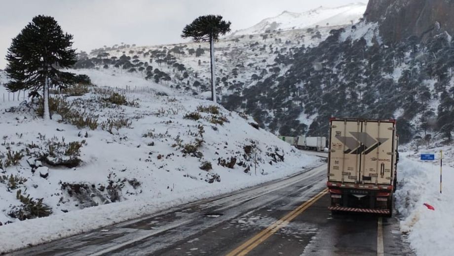 Cierre temporal de Pino Hachado
