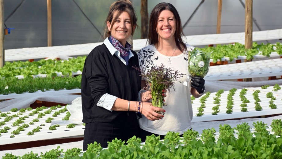 María Virginia Erezuma y María Constanza Tasca Colombo, dos de las impulsoras de Folia Hidrocultivos, en el invernadero donde producen hortalizas sin suelo en Viedma. Foto: Marcelo Ochoa.