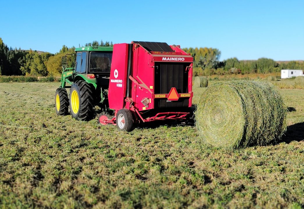En el establecimiento han mecanizado completamente el ciclo de la alfalfa.