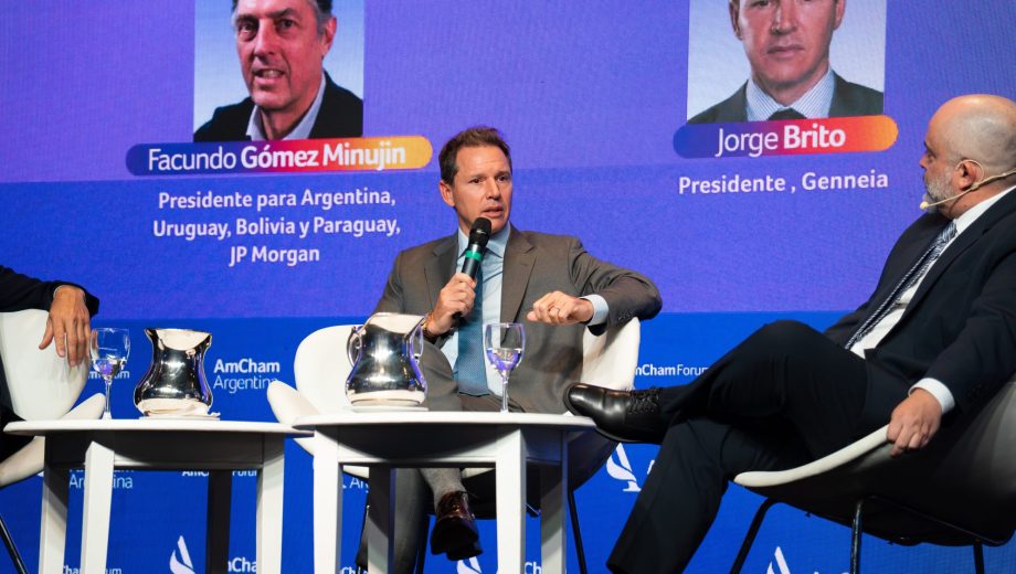"Desde Genneia hemos construido ya casi 2 GW entre energía solar y eólica, y somos los principales players de energías renovables", comentó Brito. Foto: gentileza.